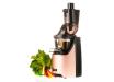 Ex Display Kuvings EVO820 Evolution Cold Press Juicer Rose Gold