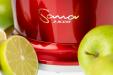 Sana 848 Vertical Slow Juicer in Red with Fruit