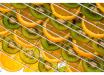 Nutridry® ST-10 Stainless Steel Dehydrator
