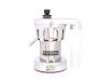 Nutrifaster N450 Commercial Multi Juicer