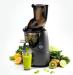 Kuvings B8200 Gunmetal Cold Press Juicer with produce