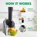 Yonanas Classic Frozen Dessert Maker Schematic