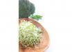 Broccoli Sprout Kit