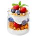 Gastroback Ice Cream Maker Yoghurt Pot