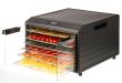 Excalibur 6 Tray Select Digital Dehydrator Doors Open