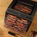 Excalibur 6 Tray Performance Digital Dehydrator with Jerky