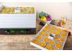 Counter Intelligence D-Cube Stackable Dehydrator 9013A