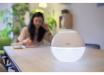 Ex-Demonstration Duux Sphere Ultrasonic Humidifier