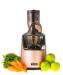 Kuvings EVO820 Evolution Cold Press Juicer Rose Gold