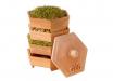 GEO Terracotta Sprouter Starter Kit